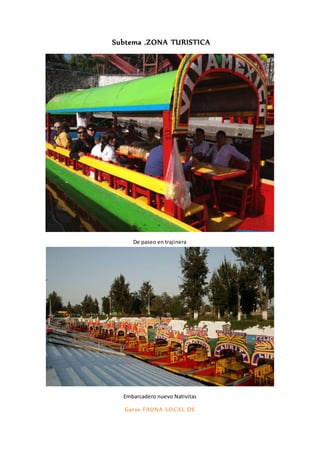 Subtema .ZONA TURISTICA
De paseo en trajinera
Embarcadero nuevo Nativitas
Garza FAUNA LOCAL DE
 