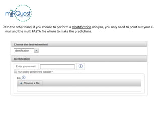 On the other hand, if you choose to perform a Identification analysis, you only need to point out your e-
mail and the multi FASTA file where to make the predictions.
 