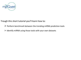 Trough this short tutorial you’ll learn how to:
 Perform benchmark between the trending miRNA prediction tools
 Identify miRNA using those tools with your own datasets
 