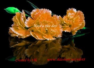 Created by Vili www.slideshare.net/vili48 Have a nice day! 