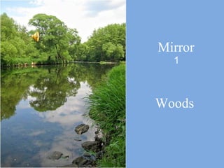 Mirror Woods 1 