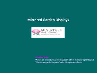 Mirrored Garden Displays
Florence Blum
Writes on Miniature-gardening.com' offers miniature plants and
'Miniature-gardening.com' sells fairy garden plants.
 
