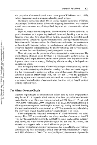 MIRROR NEURONS             171


                                                                                         the properties of neurons located in the lateral part of F5 (Ferrari et al. 2003),
                                                                                         where, in contrast, most neurons are related to mouth actions.
                                                                                             The results showed that about 25% of studied neurons have mirror properties.
                                                                                         According to the visual stimuli effective in triggering the neurons, two classes of
                                                                                         mouth mirror neurons were distinguished: ingestive and communicative mirror
                                                                                         neurons.
                                                                                             Ingestive mirror neurons respond to the observation of actions related to in-
                                                                                         gestive functions, such as grasping food with the mouth, breaking it, or sucking.
                                                                                         Neurons of this class form about 80% of the total amount of the recorded mouth
                                                                                         mirror neurons. Virtually all ingestive mirror neurons show a good correspondence
Annu. Rev. Neurosci. 2004.27:169-192. Downloaded from arjournals.annualreviews.org




                                                                                         between the effective observed and the effective executed action. In about one third
                                                                                         of them, the effective observed and executed actions are virtually identical (strictly
       by University of Colorado - Boulder on 10/18/07. For personal use only.




                                                                                         congruent neurons); in the remaining, the effective observed and executed actions
                                                                                         are similar or functionally related (broadly congruent neurons).
                                                                                             More intriguing are the properties of the communicative mirror neurons. The
                                                                                         most effective observed action for them is a communicative gesture such as lip
                                                                                         smacking, for example. However, from a motor point of view they behave as the
                                                                                         ingestive mirror neurons, strongly discharging when the monkey actively performs
                                                                                         an ingestive action.
                                                                                             This discrepancy between the effective visual input (communicative) and the
                                                                                         effective active action (ingestive) is rather puzzling. Yet, there is evidence suggest-
                                                                                         ing that communicative gestures, or at least some of them, derived from ingestive
                                                                                         actions in evolution (MacNeilage 1998, Van Hoof 1967). From this perspective
                                                                                         one may argue that the communicative mouth mirror neurons found in F5 reﬂect
                                                                                         a process of corticalization of communicative functions not yet freed from their
                                                                                         original ingestive basis.


                                                                                     The Mirror-Neuron Circuit
                                                                                         Neurons responding to the observation of actions done by others are present not
                                                                                         only in area F5. A region in which neurons with these properties have been de-
                                                                                         scribed is the cortex of the superior temporal sulcus (STS; Figure 1) (Perrett et al.
                                                                                         1989, 1990; Jellema et al. 2000; see Jellema et al. 2002). Movements effective in
                                                                                         eliciting neuron responses in this region are walking, turning the head, bending
                                                                                         the torso, and moving the arms. A small set of STS neurons discharge also during
                                                                                         the observation of goal-directed hand movements (Perrett et al. 1990).
                                                                                             If one compares the functional properties of STS and F5 neurons, two points
                                                                                         emerge. First, STS appears to code a much larger number of movements than F5.
                                                                                         This may be ascribed, however, to the fact that STS output reaches, albeit indirectly
                                                                                         (see below), the whole ventral premotor region and not only F5. Second, STS
                                                                                         neurons do not appear to be endowed with motor properties.
                                                                                             Another cortical area where there are neurons that respond to the observation of
                                                                                         actions done by other individuals is area 7b or PF of Von Economo (1929) (Fogassi
                                                                                         et al. 1998, Gallese et al. 2002). This area (see Figure 1) forms the rostral part of the
 