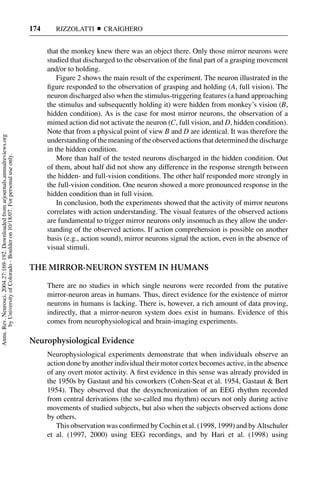 174      RIZZOLATTI      CRAIGHERO


                                                                                           that the monkey knew there was an object there. Only those mirror neurons were
                                                                                           studied that discharged to the observation of the ﬁnal part of a grasping movement
                                                                                           and/or to holding.
                                                                                               Figure 2 shows the main result of the experiment. The neuron illustrated in the
                                                                                           ﬁgure responded to the observation of grasping and holding (A, full vision). The
                                                                                           neuron discharged also when the stimulus-triggering features (a hand approaching
                                                                                           the stimulus and subsequently holding it) were hidden from monkey’s vision (B,
                                                                                           hidden condition). As is the case for most mirror neurons, the observation of a
                                                                                           mimed action did not activate the neuron (C, full vision, and D, hidden condition).
                                                                                           Note that from a physical point of view B and D are identical. It was therefore the
Annu. Rev. Neurosci. 2004.27:169-192. Downloaded from arjournals.annualreviews.org




                                                                                           understanding of the meaning of the observed actions that determined the discharge
                                                                                           in the hidden condition.
       by University of Colorado - Boulder on 10/18/07. For personal use only.




                                                                                               More than half of the tested neurons discharged in the hidden condition. Out
                                                                                           of them, about half did not show any difference in the response strength between
                                                                                           the hidden- and full-vision conditions. The other half responded more strongly in
                                                                                           the full-vision condition. One neuron showed a more pronounced response in the
                                                                                           hidden condition than in full vision.
                                                                                               In conclusion, both the experiments showed that the activity of mirror neurons
                                                                                           correlates with action understanding. The visual features of the observed actions
                                                                                           are fundamental to trigger mirror neurons only insomuch as they allow the under-
                                                                                           standing of the observed actions. If action comprehension is possible on another
                                                                                           basis (e.g., action sound), mirror neurons signal the action, even in the absence of
                                                                                           visual stimuli.

                                                                                     THE MIRROR-NEURON SYSTEM IN HUMANS
                                                                                           There are no studies in which single neurons were recorded from the putative
                                                                                           mirror-neuron areas in humans. Thus, direct evidence for the existence of mirror
                                                                                           neurons in humans is lacking. There is, however, a rich amount of data proving,
                                                                                           indirectly, that a mirror-neuron system does exist in humans. Evidence of this
                                                                                           comes from neurophysiological and brain-imaging experiments.

                                                                                     Neurophysiological Evidence
                                                                                           Neurophysiological experiments demonstrate that when individuals observe an
                                                                                           action done by another individual their motor cortex becomes active, in the absence
                                                                                           of any overt motor activity. A ﬁrst evidence in this sense was already provided in
                                                                                           the 1950s by Gastaut and his coworkers (Cohen-Seat et al. 1954, Gastaut & Bert
                                                                                           1954). They observed that the desynchronization of an EEG rhythm recorded
                                                                                           from central derivations (the so-called mu rhythm) occurs not only during active
                                                                                           movements of studied subjects, but also when the subjects observed actions done
                                                                                           by others.
                                                                                              This observation was conﬁrmed by Cochin et al. (1998, 1999) and by Altschuler
                                                                                           et al. (1997, 2000) using EEG recordings, and by Hari et al. (1998) using
 