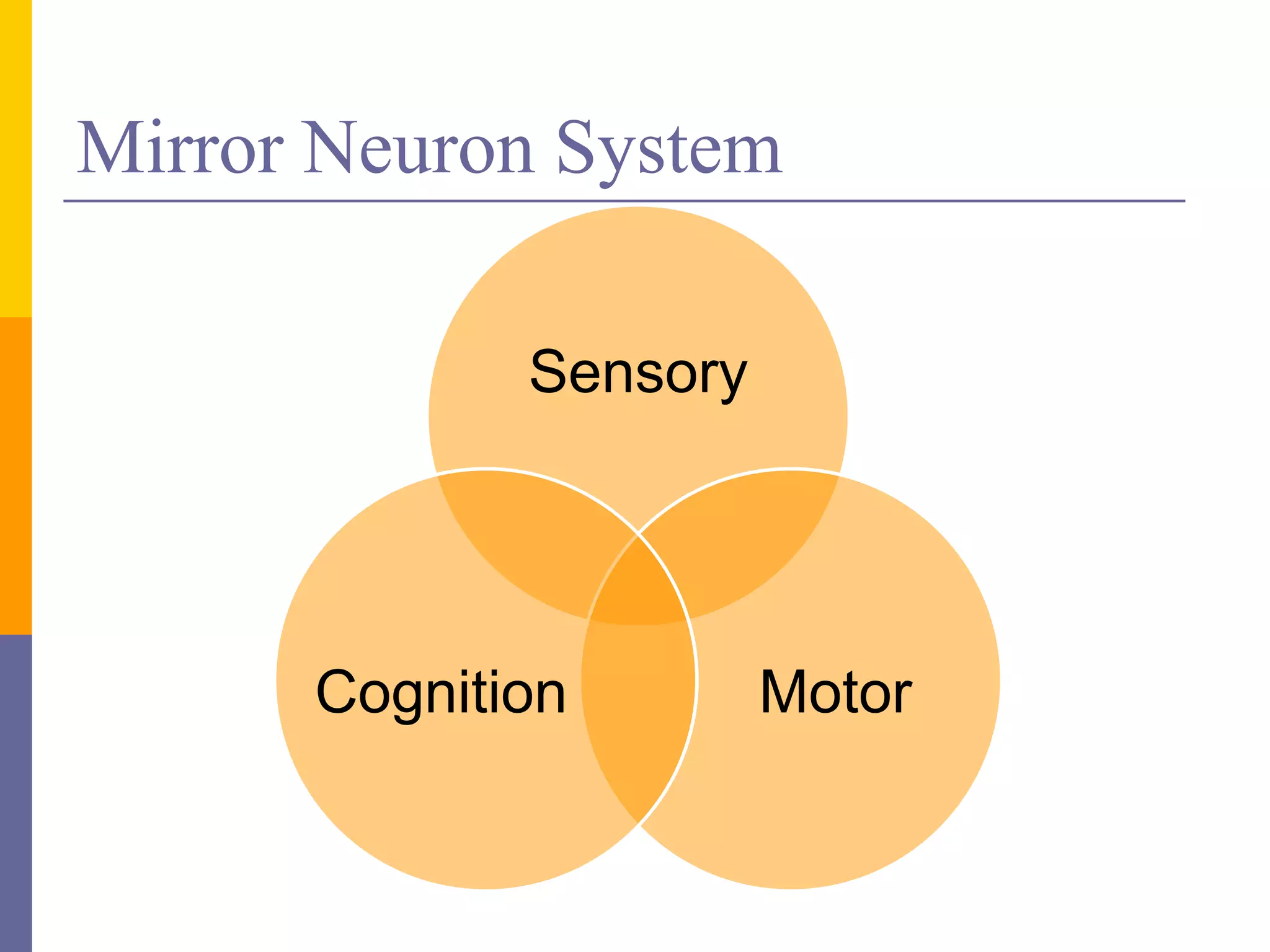Mirror Neuron System

             Sensory




      Cognition        Motor
 