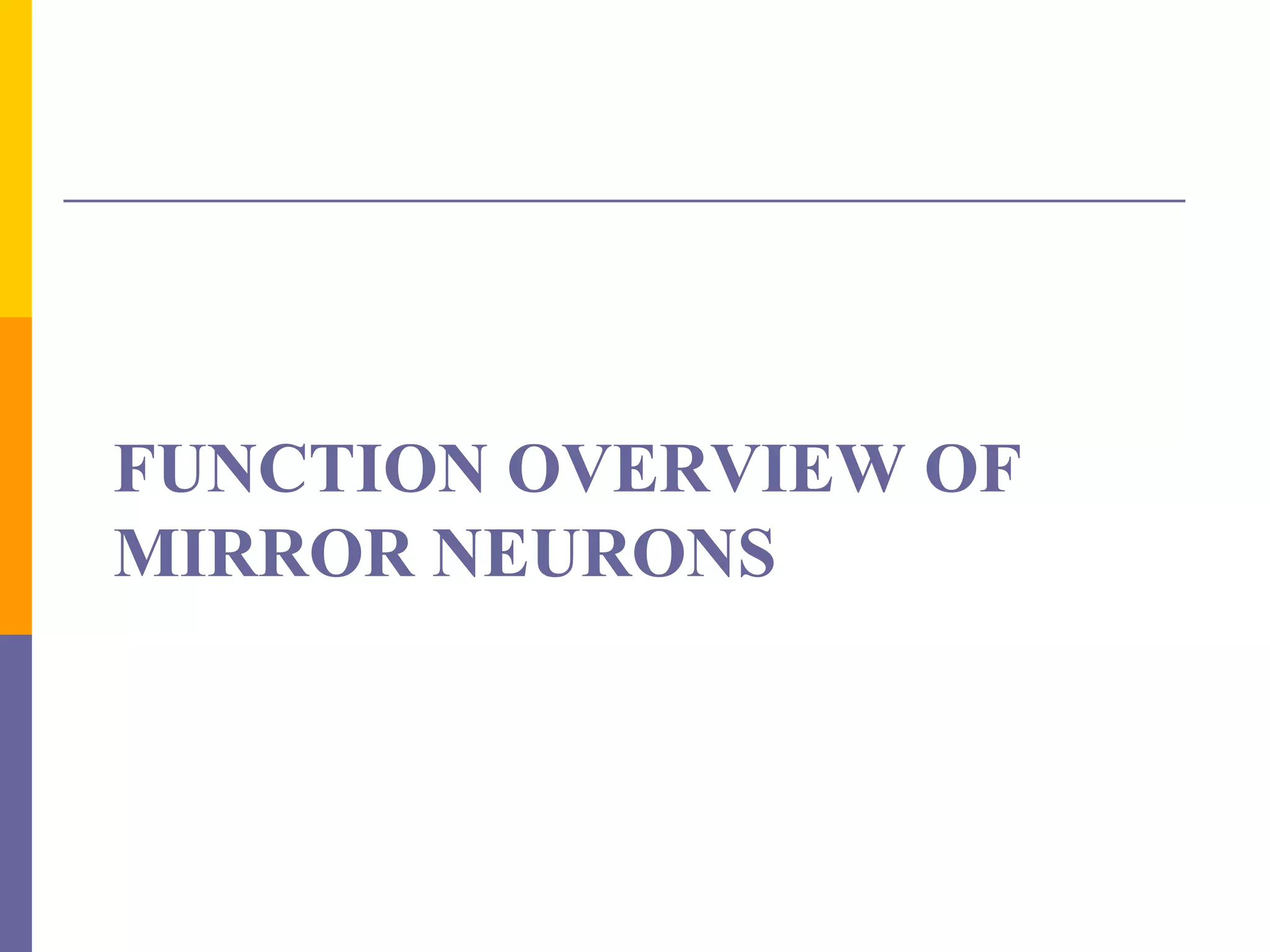 FUNCTION OVERVIEW OF
MIRROR NEURONS
 