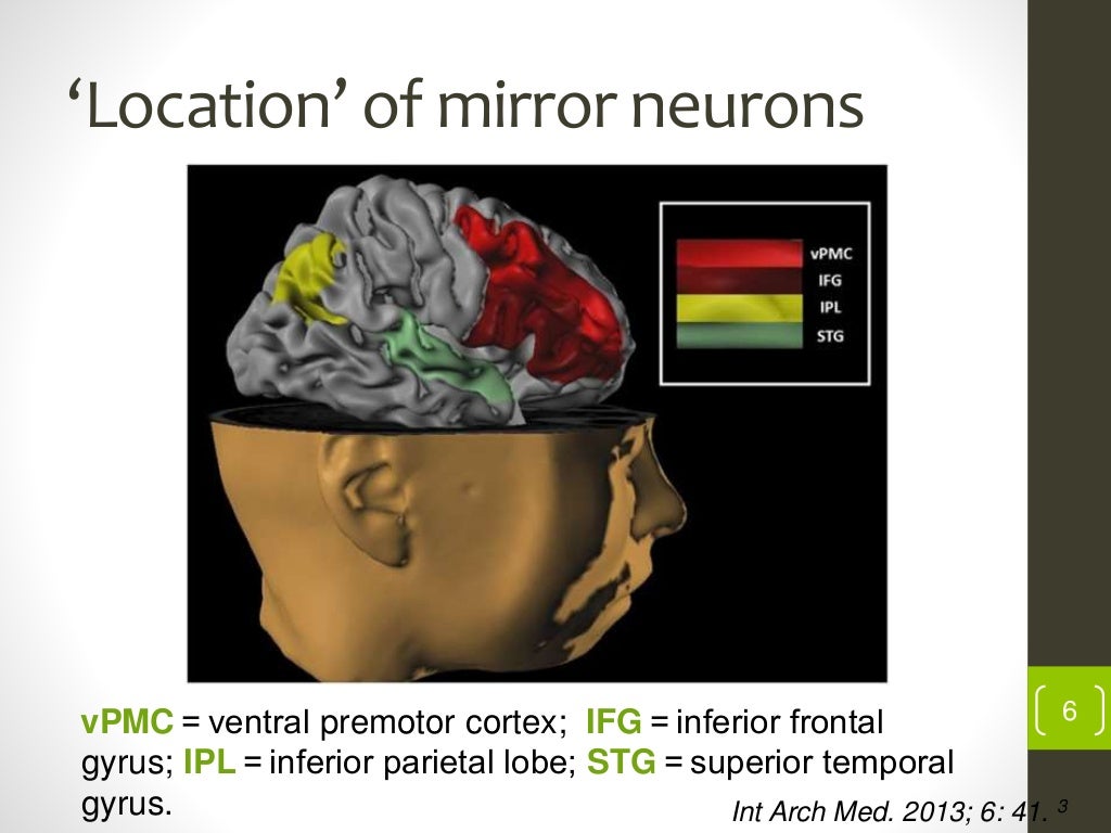 Mirror neuron system in neuro rehabilitation