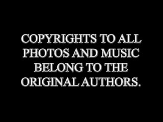 Mirror portraits (v.m.) 2