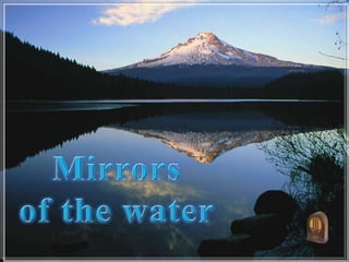Mirrors  of the water 