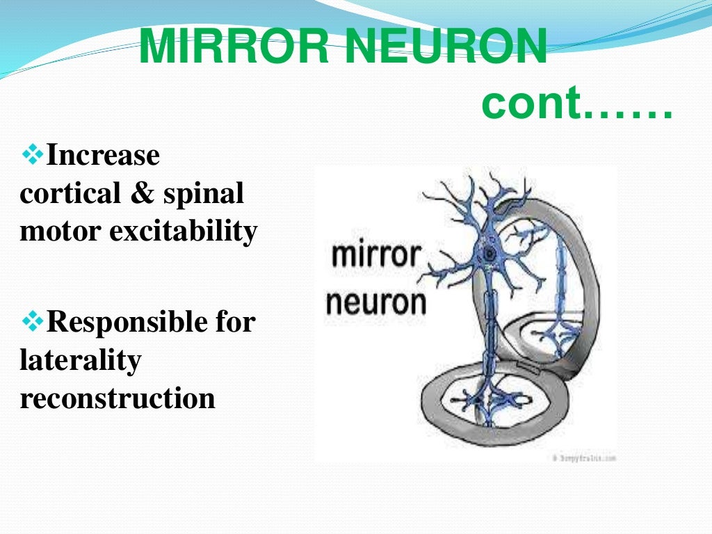 Mirror therapy ppt
