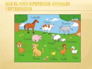 Que el niño diferencie animales vertebrados