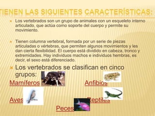  Los vertebrados se caracterizan por la estructura de su esqueleto interno, que tiene, entre otras cosas, columna vertebral y cráneo.