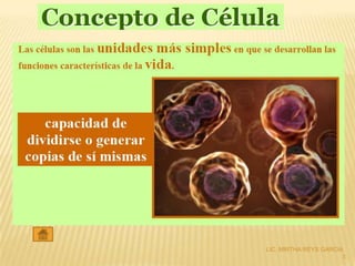 LIC. MIRTHA REYS GARCIA
                       3
 