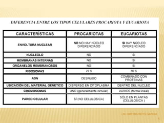 LIC. MIRTHA REYS GARCIA
                          5
 