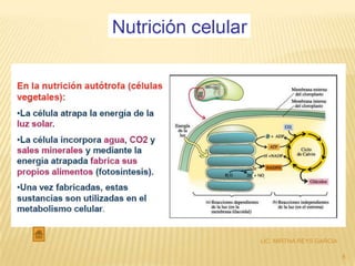 LIC. MIRTHA REYS GARCIA

                          8
 