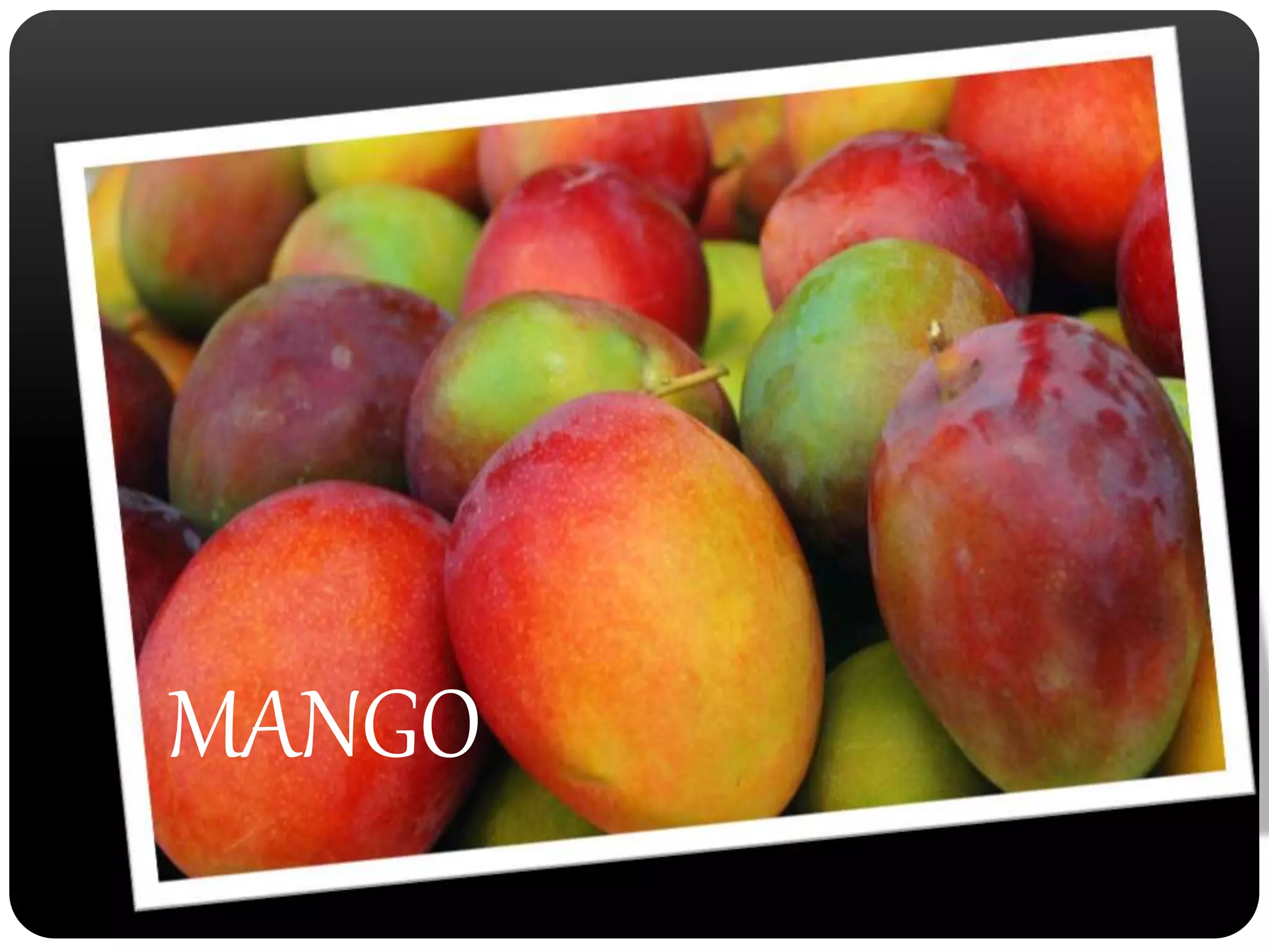 MANGO 
 