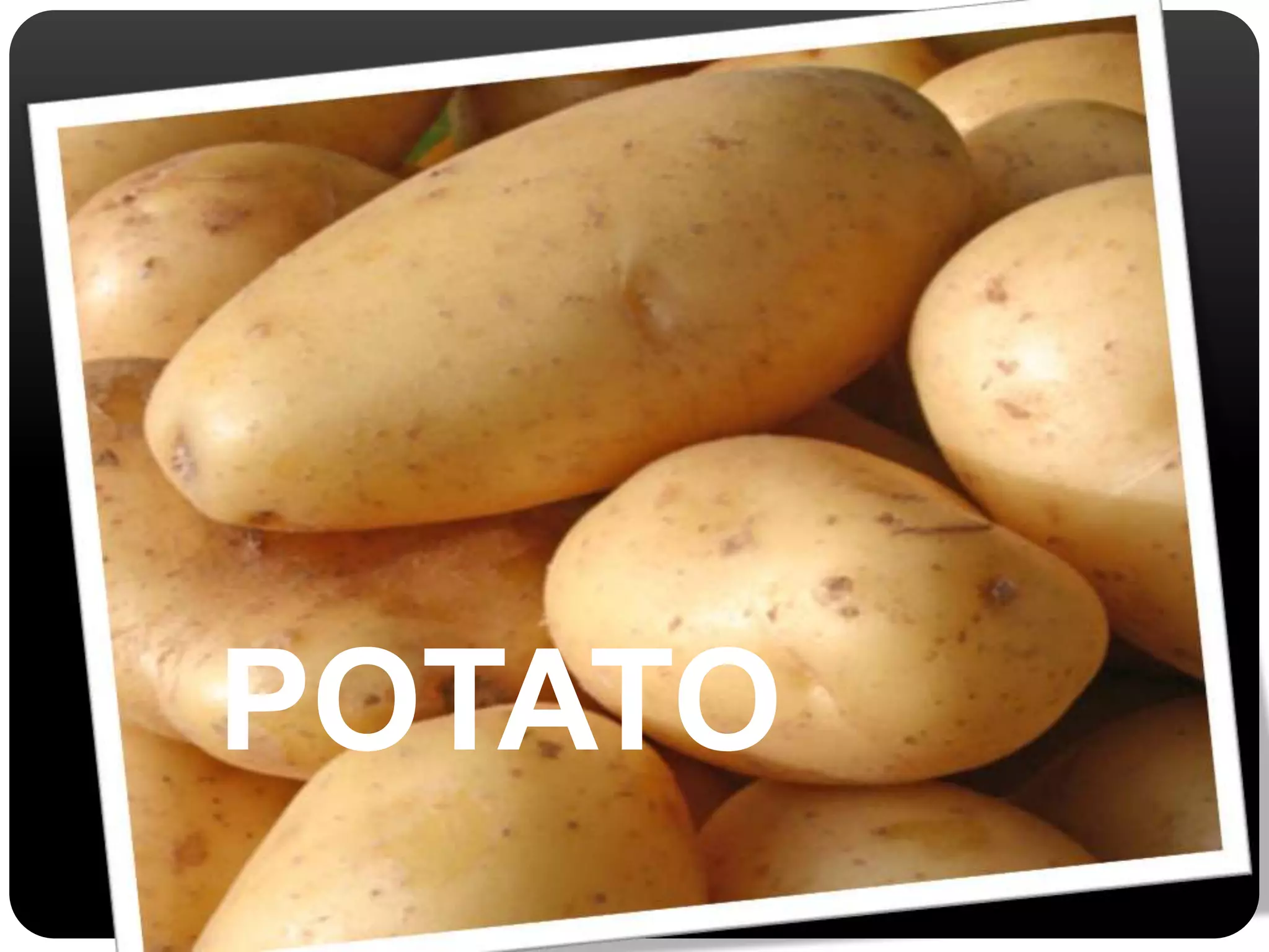 POTATO 
 