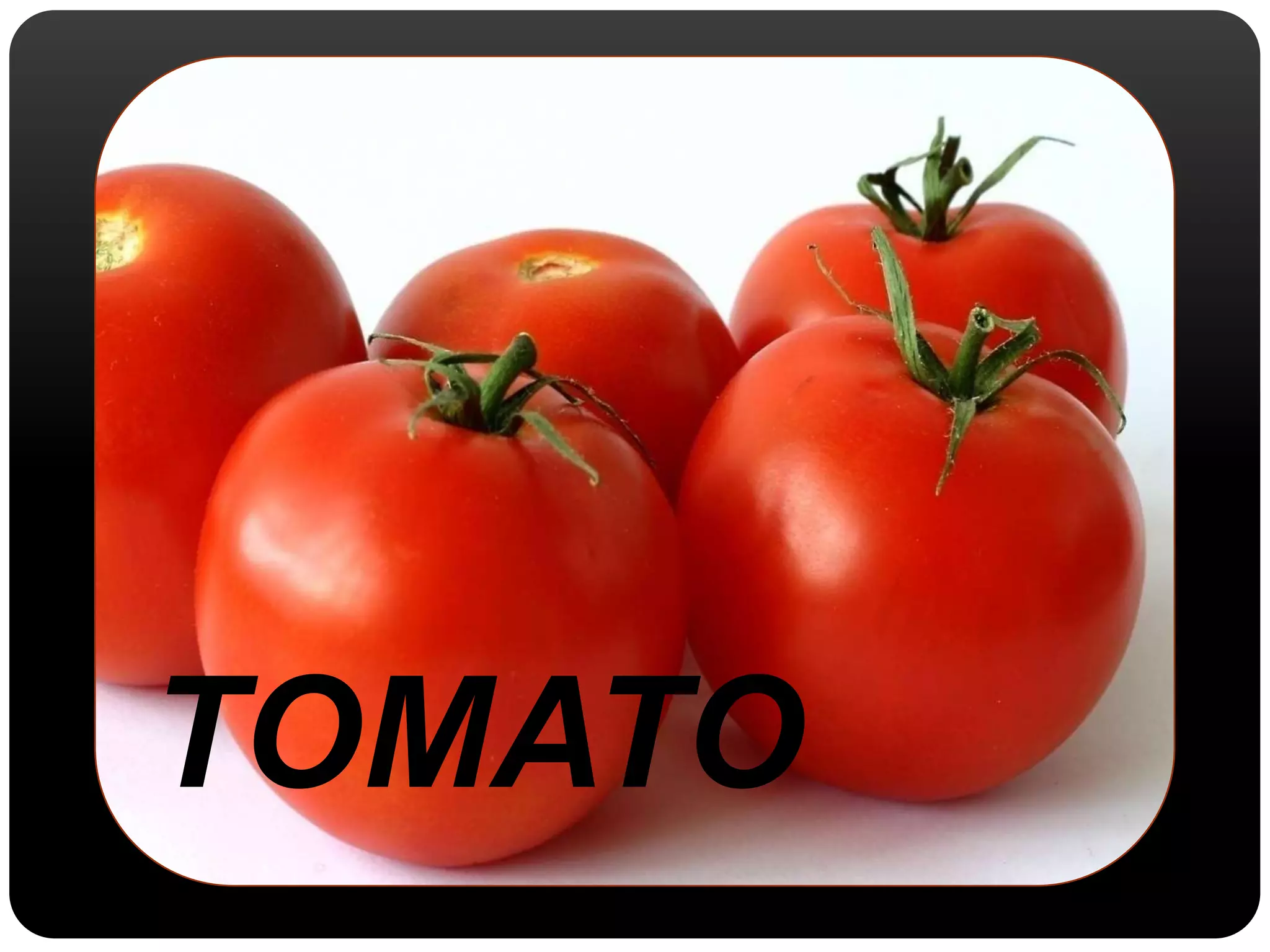 TOMATO 
 