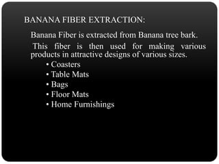 BANANA FIBER EXTRACTION: 
Banana Fiber is extracted from Banana tree bark. 
This fiber is then used for making various 
products in attractive designs of various sizes. 
• Coasters 
• Table Mats 
• Bags 
• Floor Mats 
• Home Furnishings 
 