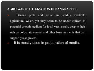 AGROWASTE UTILIZATION IN BANANA PEEL 
 Banana peels and waste are readily available 
agricultural waste, yet they seem to be under utilized as 
potential growth medium for local yeast strain, despite their 
rich carbohydrate content and other basic nutrients that can 
support yeast growth. 
 It is mostly used in preparation of media. 
 