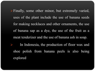Finally, some other minor, but extremely varied, 
uses of the plant include the use of banana seeds 
for making necklaces and other ornaments, the use 
of banana sap as a dye, the use of the fruit as a 
meat tenderizer and the use of banana ash in soap. 
 In Indonesia, the production of floor wax and 
shoe polish from banana peels is also being 
explored 
 