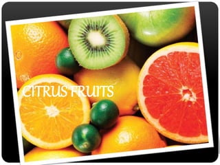 CITRUS FRUITS 
 
