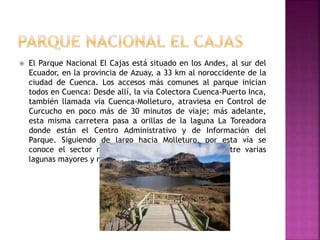  El Parque Nacional El Cajas está situado en los Andes, al sur del
Ecuador, en la provincia de Azuay, a 33 km al noroccidente de la
ciudad de Cuenca. Los accesos más comunes al parque inician
todos en Cuenca: Desde allí, la vía Colectora Cuenca-Puerto Inca,
también llamada vía Cuenca-Molleturo, atraviesa en Control de
Curcucho en poco más de 30 minutos de viaje; más adelante,
esta misma carretera pasa a orillas de la laguna La Toreadora
donde están el Centro Administrativo y de Información del
Parque. Siguiendo de largo hacia Molleturo, por esta vía se
conoce el sector norte del Cajas y se serpentea entre varias
lagunas mayores y menores
 