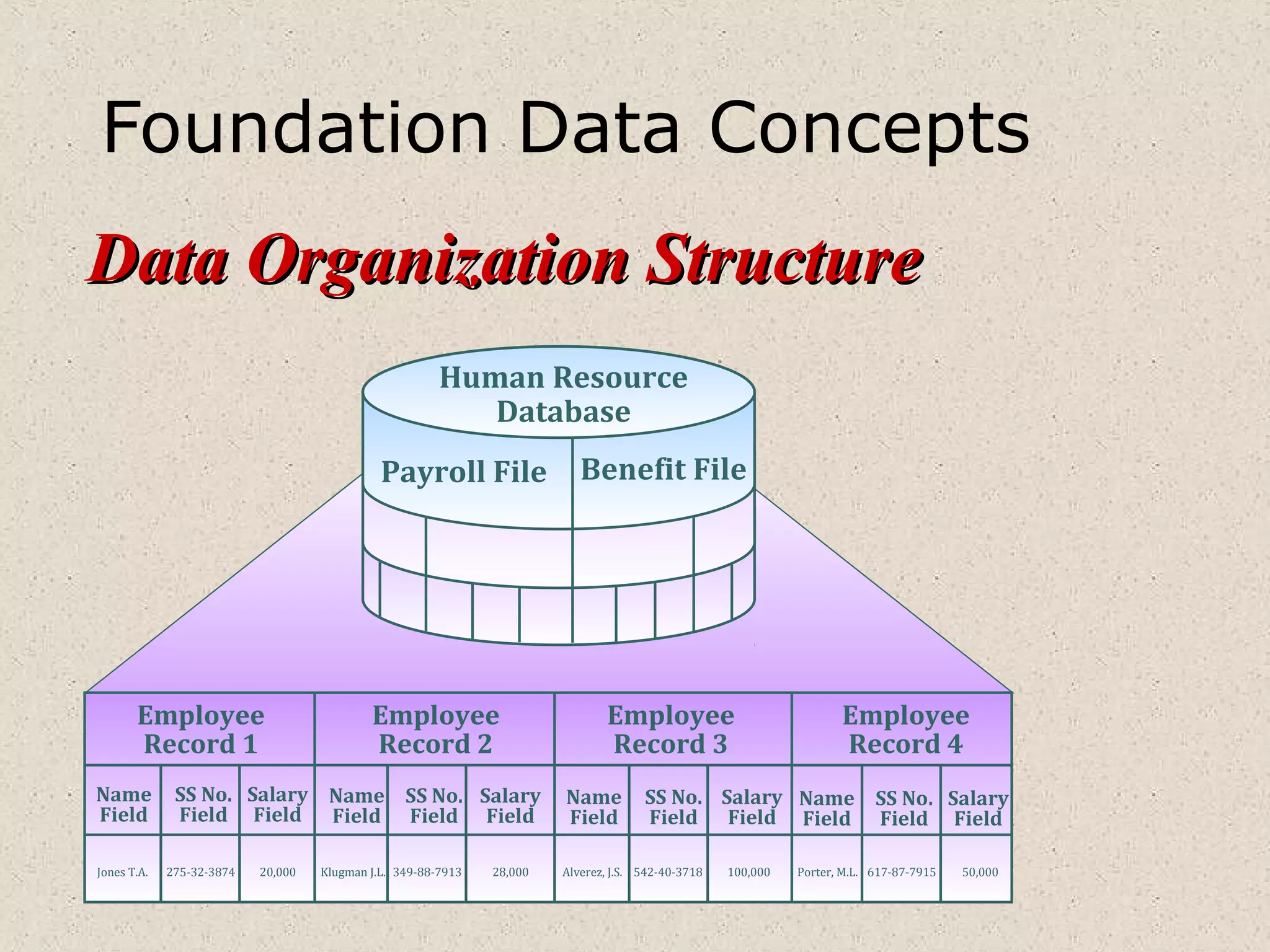 Foundation Data Concepts
Employee
Record 1
Employee
Record 2
Employee
Record 3
Employee
Record 4
Name
Field
SS No.
Field
Salary
Field
Name
Field
SS No.
Field
Salary
Field
Name
Field
SS No.
Field
Salary
Field
Name
Field
SS No.
Field
Salary
Field
Jones T.A. 275-32-3874 20,000 Klugman J.L. 349-88-7913 28,000 Alverez, J.S. 542-40-3718 100,000 Porter, M.L. 617-87-7915 50,000
Human Resource
Database
Payroll File Benefit File
Data Organization StructureData Organization Structure
 