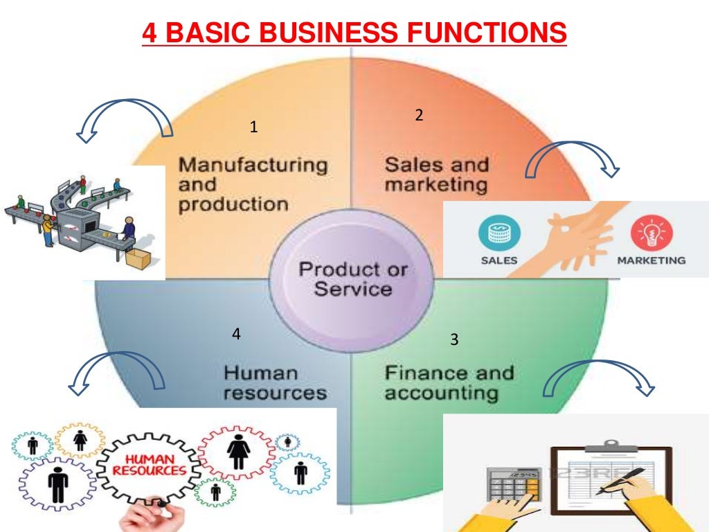 BASIC BUSINESS FUNCTIONS & FIRM HIERARCHY