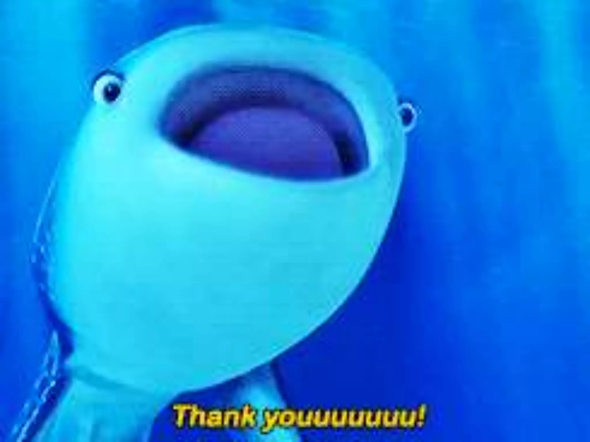 Case Study Presentation on KMS and OLAP