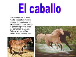 El caballo Los caballos en la edad media se usaban mucho por que en esa época no existían los coches, pero a la gente del pueblo no se les permitía ir a caballo. Solo se les permitía a reyes, ricos, condes,  etc.  