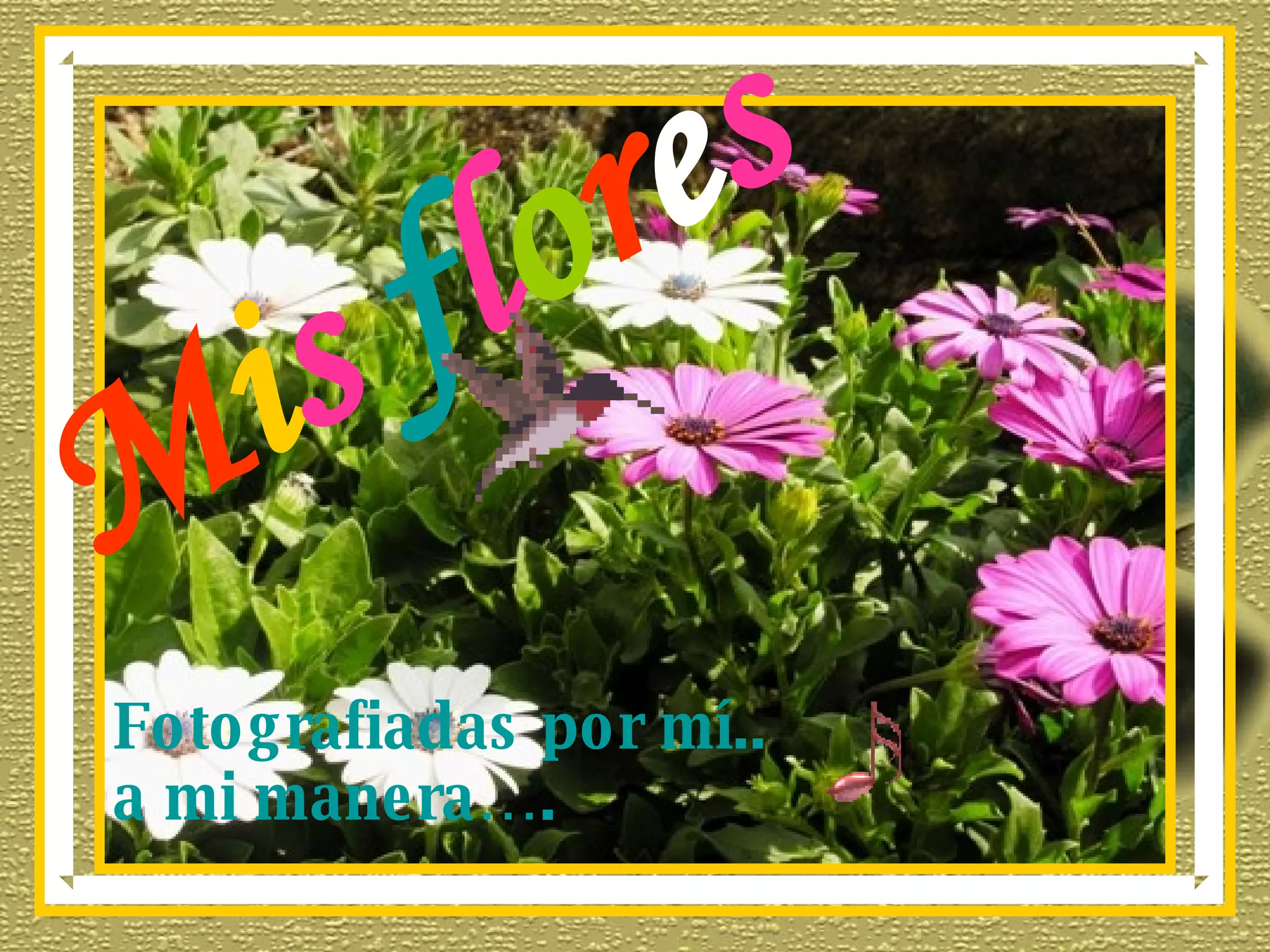 M i s f l o r e s Fotografiadas por mí.. a mi manera….