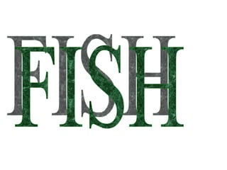 FISH 