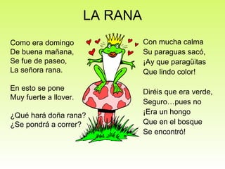 LA RANA Como era domingo De buena mañana, Se fue de paseo, La señora rana. En esto se pone Muy fuerte a llover. ¿Qué hará doña rana? ¿Se pondrá a correr? Con mucha calma Su paraguas sacó, ¡Ay que paragüitas Que lindo color!  Diréis que era verde, Seguro…pues no ¡Era un hongo Que en el bosque  Se encontró!  