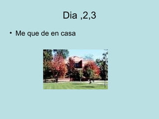 Dia ,2,3 Me que de en casa