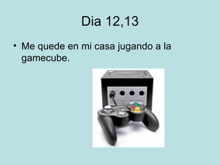 Dia 12,13 Me quede en mi casa jugando a la gamecube.