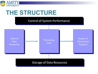 THE STRUCTURE Input of Data Resources Processing  Data Output of Information Products Control of System Performance Storage of Data Resources 