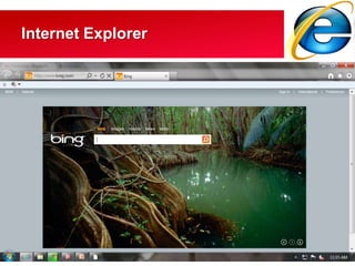 Internet Explorer
 