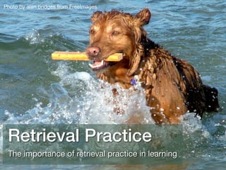Photo by alan bridges from FreeImages
Retrieval Practice
The importance of retrieval practice in learning
 