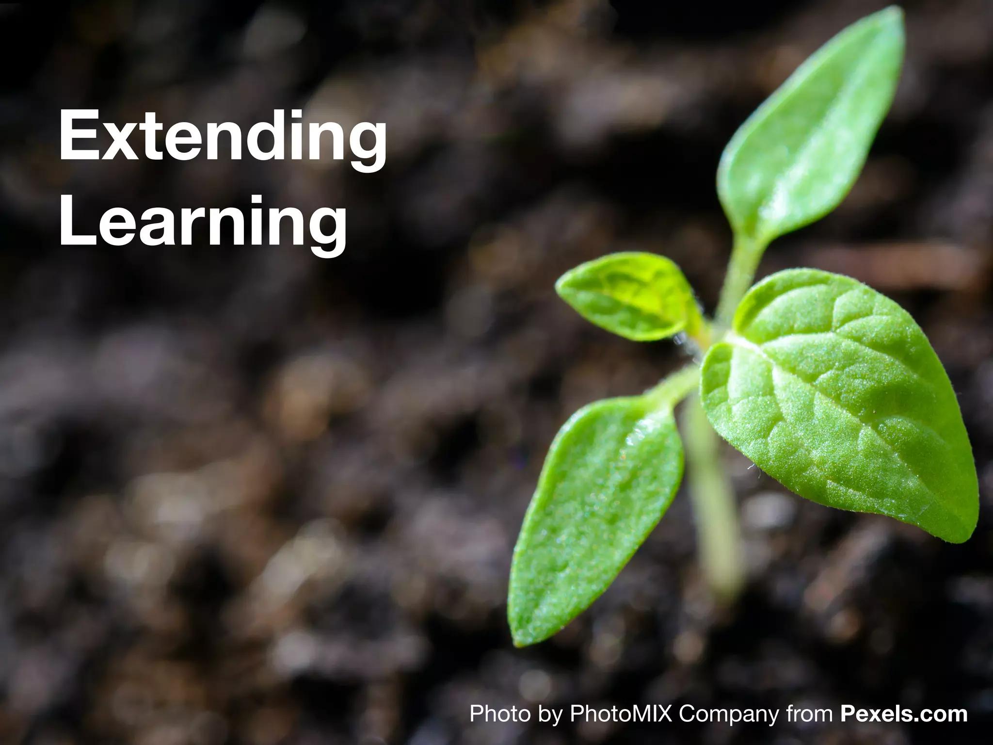 Extending
Learning
Photo by PhotoMIX Company from Pexels.com
 