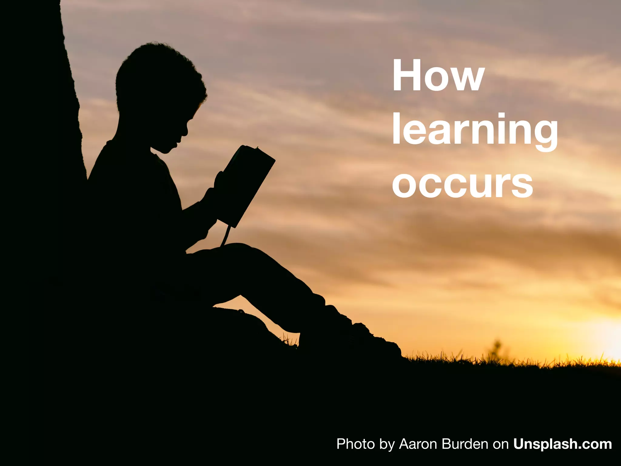 How
learning
occurs
Photo by Aaron Burden on Unsplash.com
 