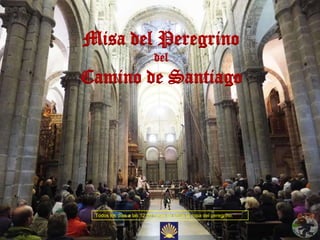 Misa del Peregrino
                            del
Camino de Santiago




 Todos los dias a las 12.00 horas se oficia la misa del peregrino.
 