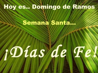Hoy es.. Domingo de Ramos Semana Santa… ¡Días de Fe! 