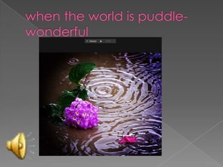 when the world is puddle-wonderful