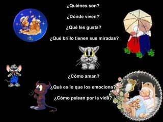 ¿Quiénes son?  ¿Dónde viven?  ¿Qué les gusta? ¿Qué brillo tienen sus miradas? ¿Cómo aman? ¿Qué es lo que los emociona?  ¿Cómo pelean por la vida?  