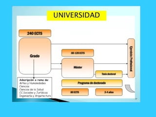 Mis asignaturas en 4º eso 2015