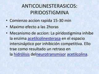 ANTICOLINESTERASICOS:
PIRIDOSTIGMINA
• Comienzo accion rapida 15-30 min
• Maximo efecto a las 2horas
• Mecanismo de accion: La piridostigmina inhibe
la enzima acetilcolinesterasa en el espacio
intersináptico por inhibición competitiva. Ello
trae como resultado un retraso en
la hidrólisis delneurotransmisor acetilcolina.

 