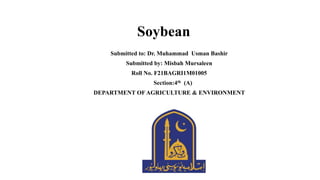 Soybean 1005.pptx