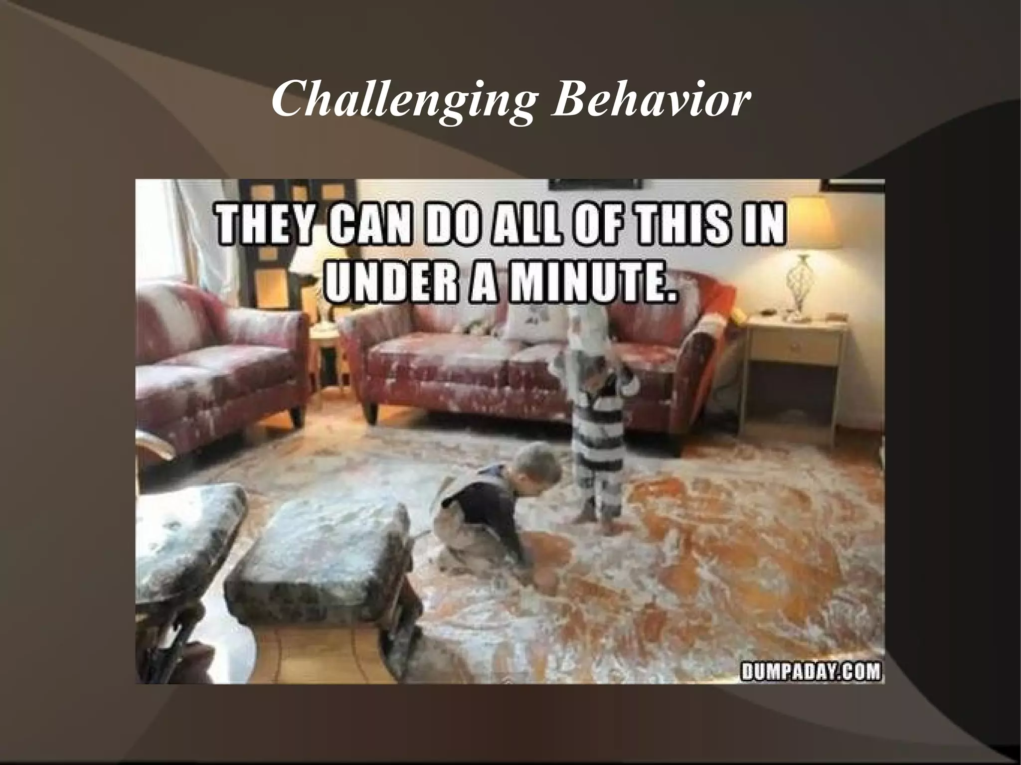 Challenging Behavior
 