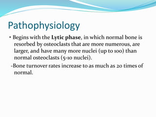 Pathophysiology
• Begins with the Lytic phase, in which normal bone is
resorbed by osteoclasts that are more numerous, are
larger, and have many more nuclei (up to 100) than
normal osteoclasts (5-10 nuclei).
-Bone turnover rates increase to as much as 20 times of
normal.
 